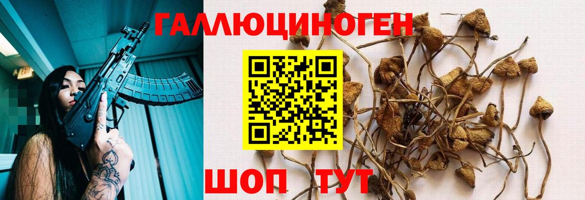 Рыбинск  Галлюциногенные грибы Psilocybine cubensis  Вход с VPN  Галлюциногенные грибы мицелий 