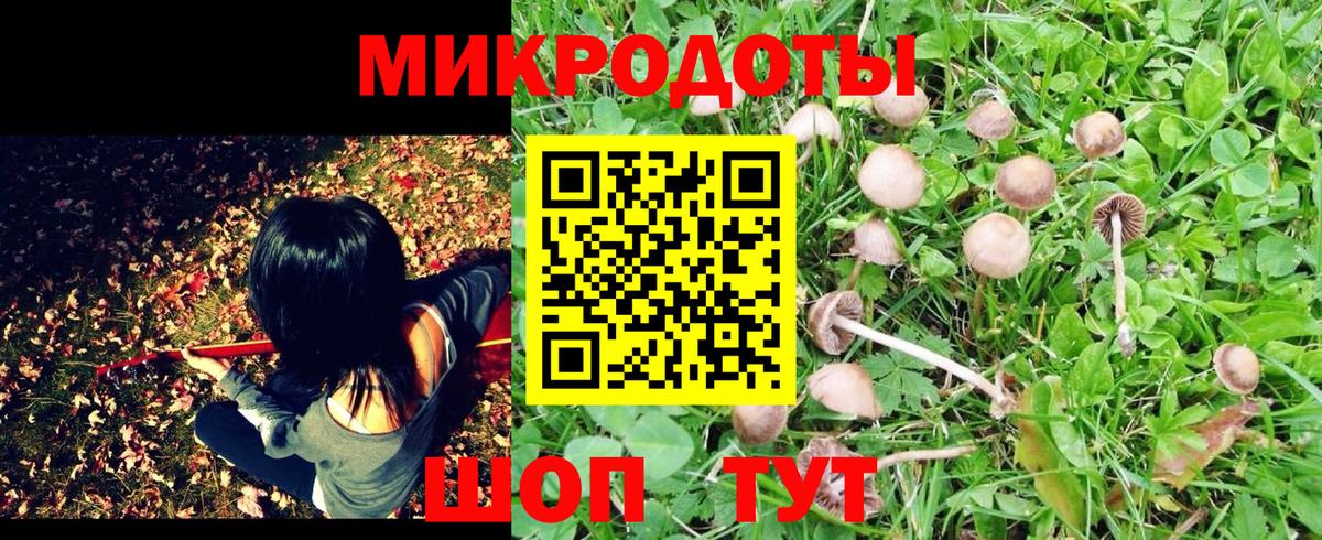 Галлюциногенные грибы Magic Shrooms Рыбинск